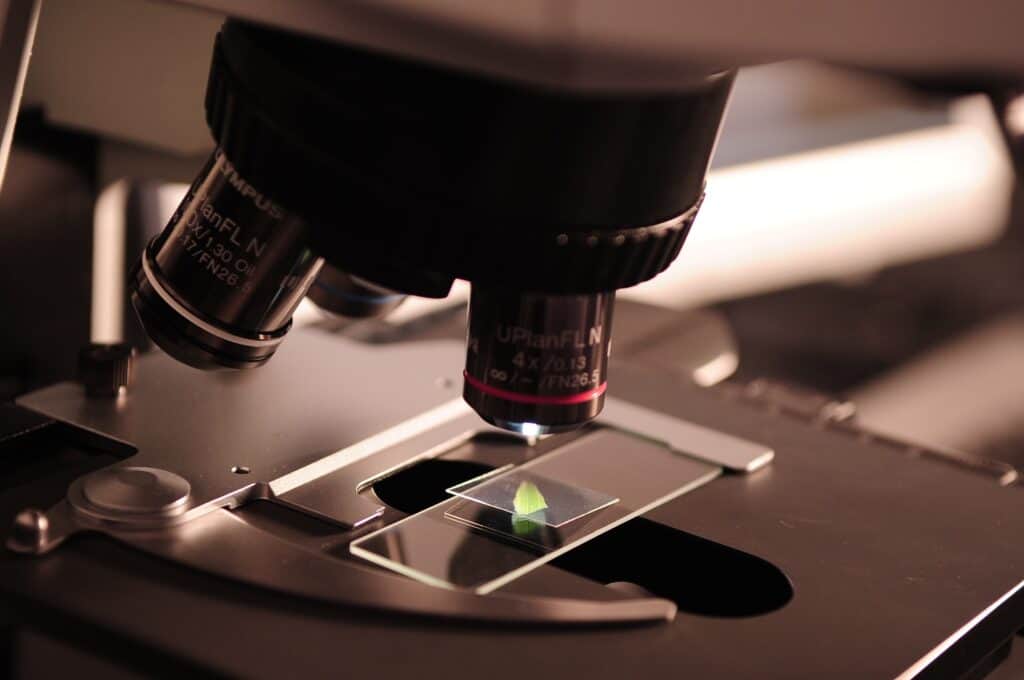 Close-up view of a microscope lens focused on a glass slide, much like criminal defense lawyers Louisiana examining crucial evidence.