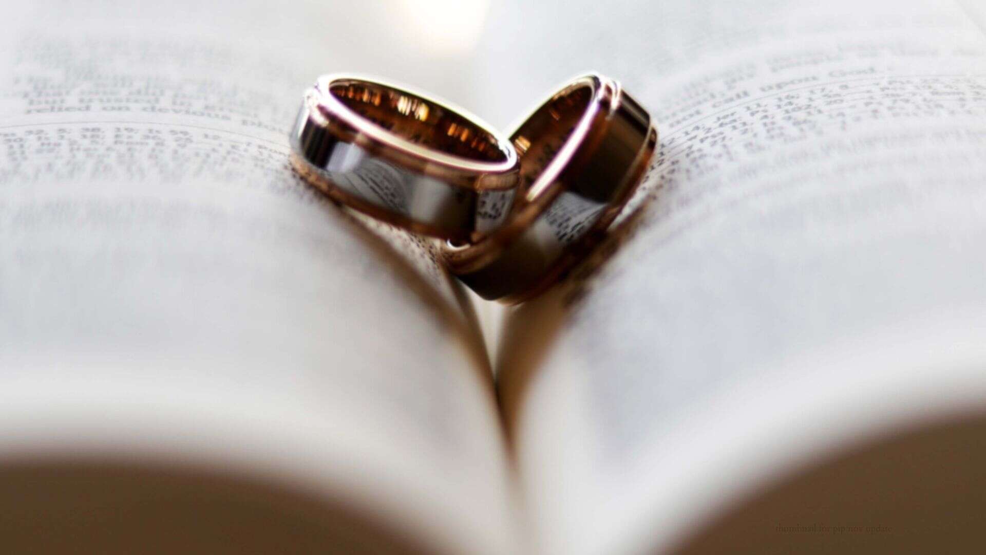 Two gold rings rest on an open book, symbolizing unity—much like Louisiana immigration lawyers uniting families through legal support.